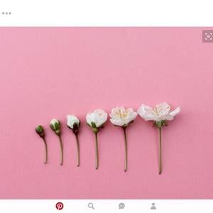 Meet your Posher, Deb